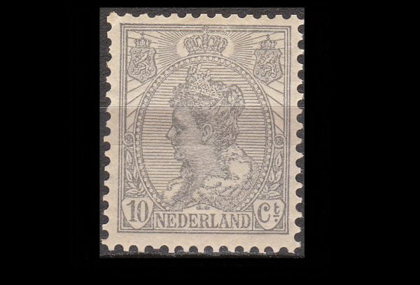 Ned 1906 81